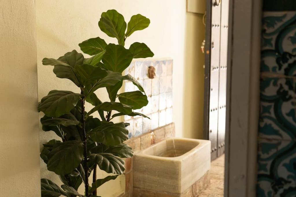 Nueva Casa Boutique En El Centro De Sevilla المظهر الخارجي الصورة